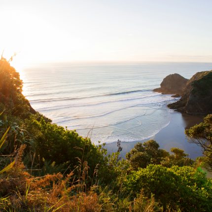 Experience New Zealand